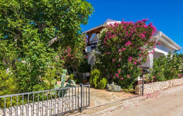Apartment "Marija" - Otok Vir Eksteriør bilde