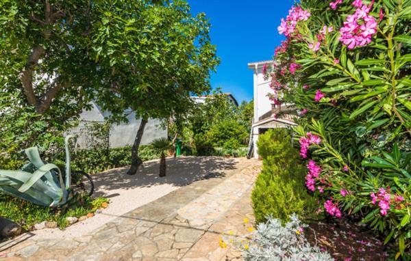 Apartment "Marija" - Otok Vir Eksteriør bilde